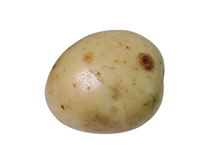 음식이미지