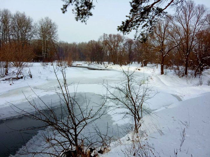 Ворскла