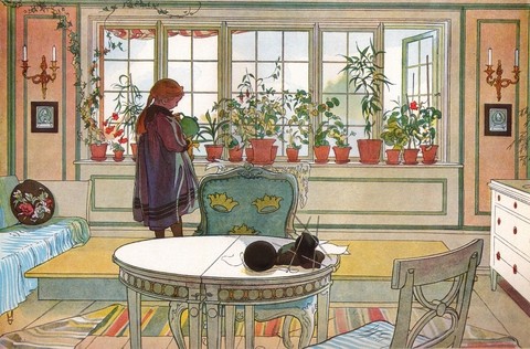 Flowers On The Windowsill