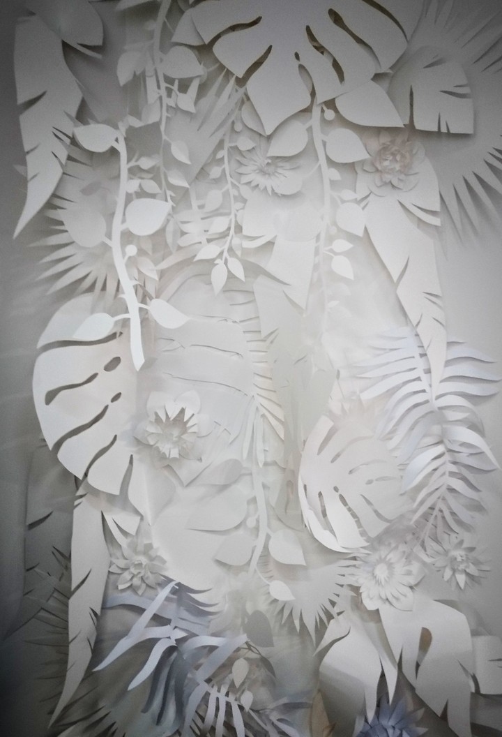 paper