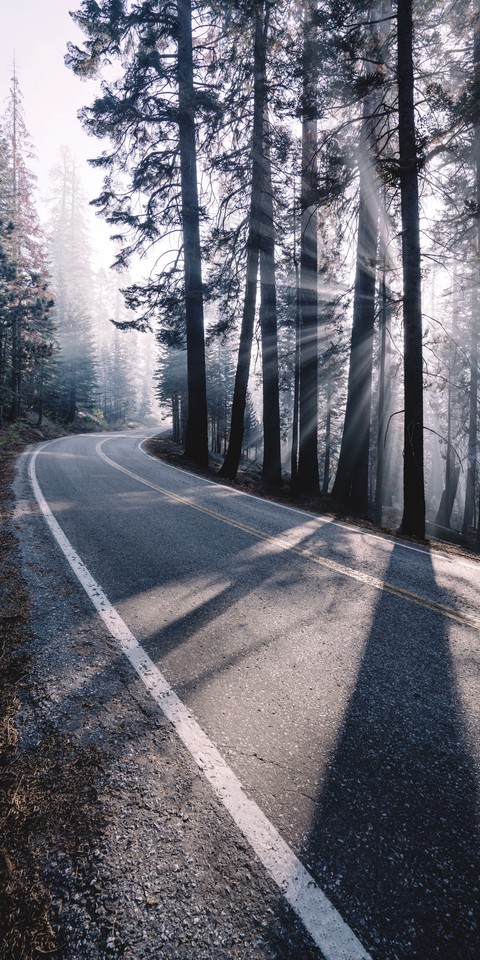 Road