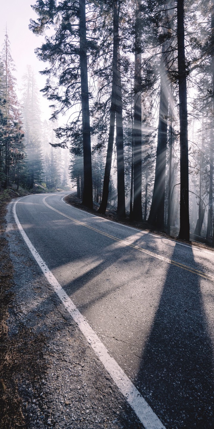 Road