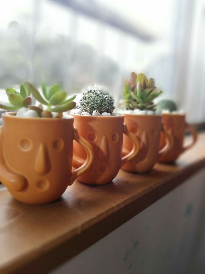 cactus