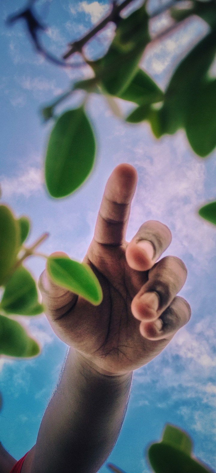 Reaching in
