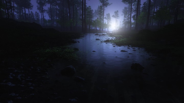 Night,Lake,Moon...