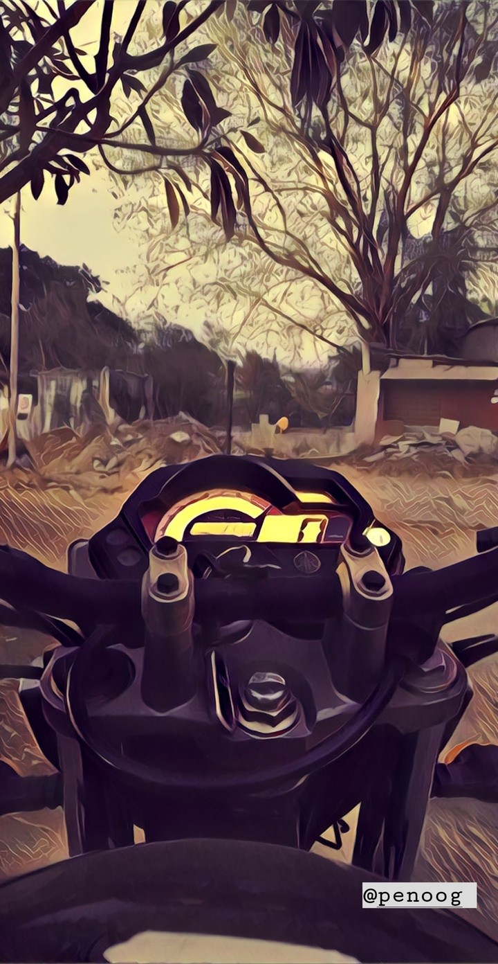 prisma colors
