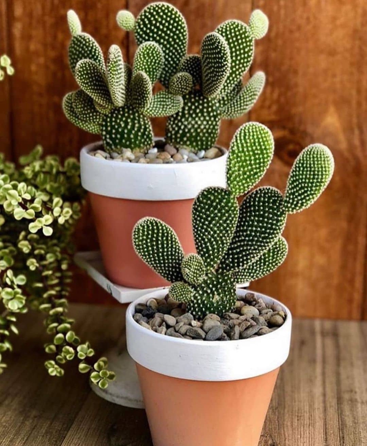❤