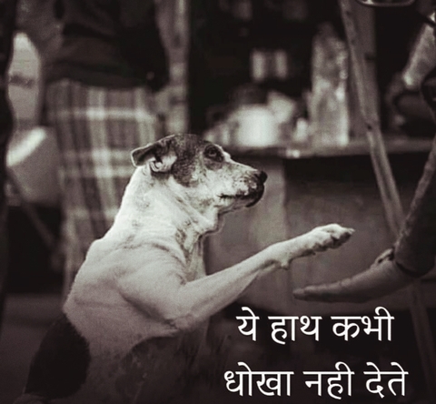 ये हाथ कभी धोखा नही देते....✍️