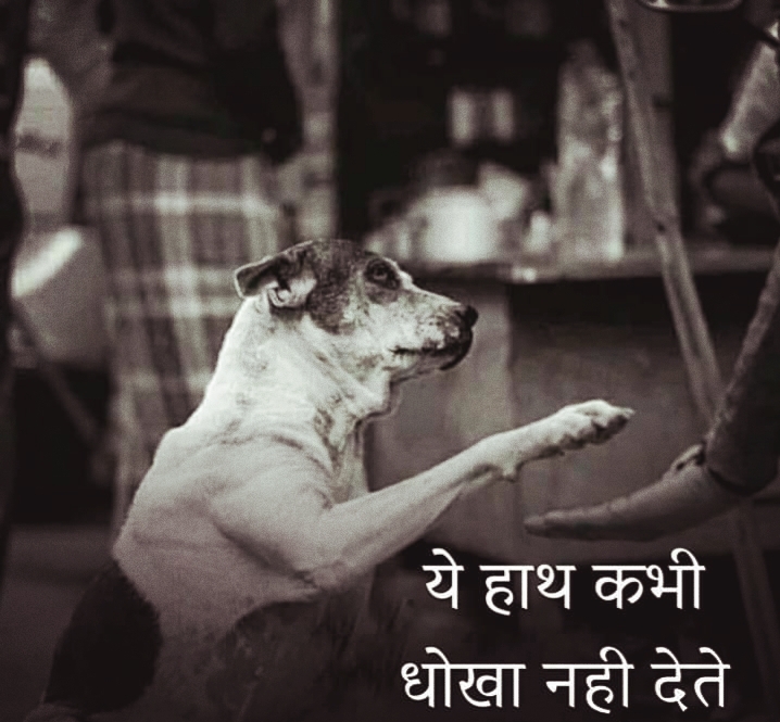 ये हाथ कभी धोखा नही देते....✍️