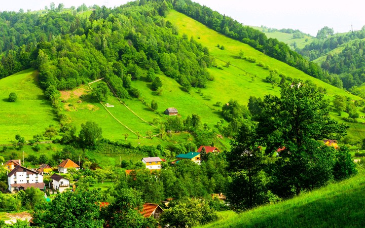 Green Landscape