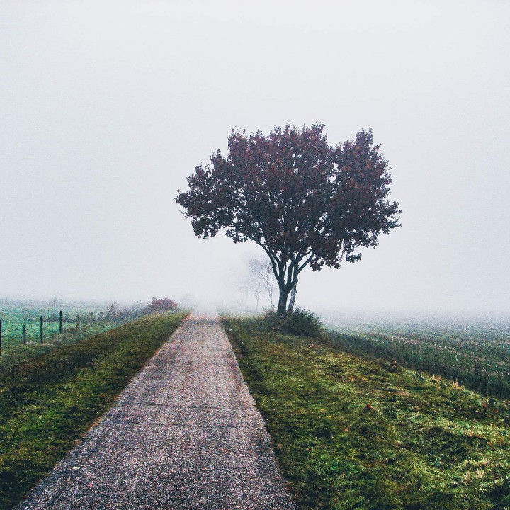 cold days