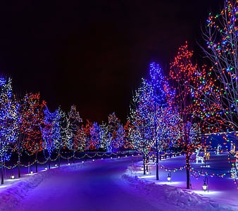 Christmas Path
