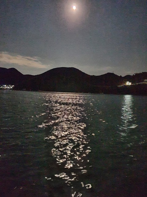 달빛