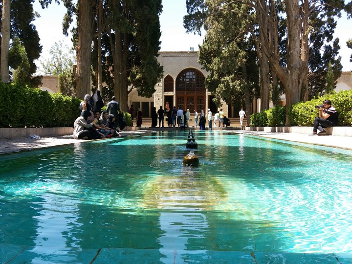 Fin garden