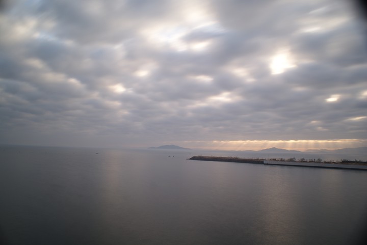 Scenics