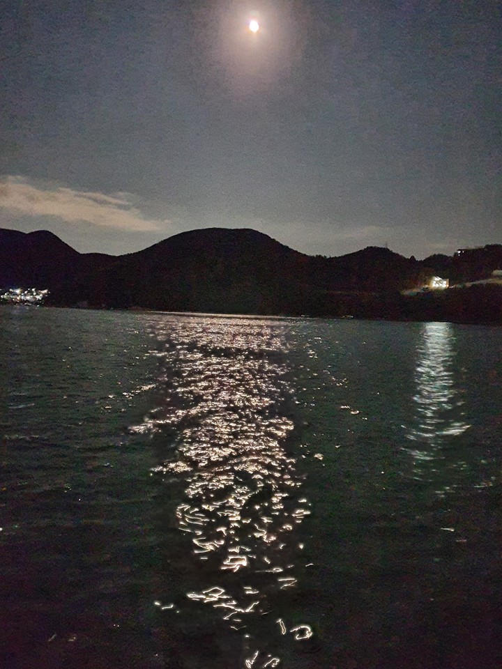 달빛