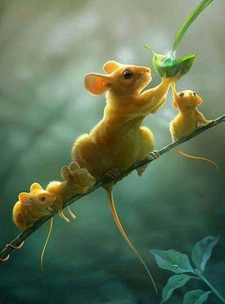cute family ..