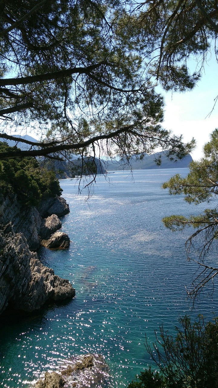 Sea