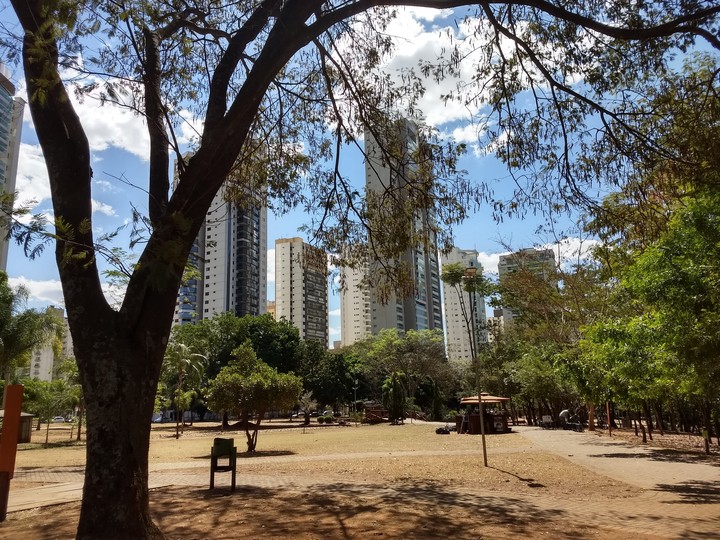 Nature and City
