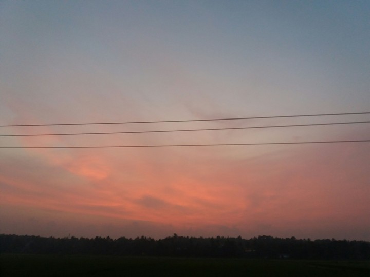 An evening in the Fields