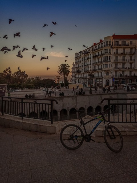 Algiers