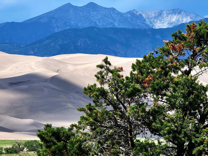 Sand Dunes