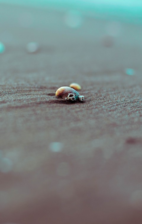 alone