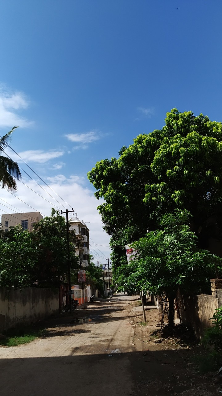 sunny day Street