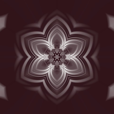 Flower 2