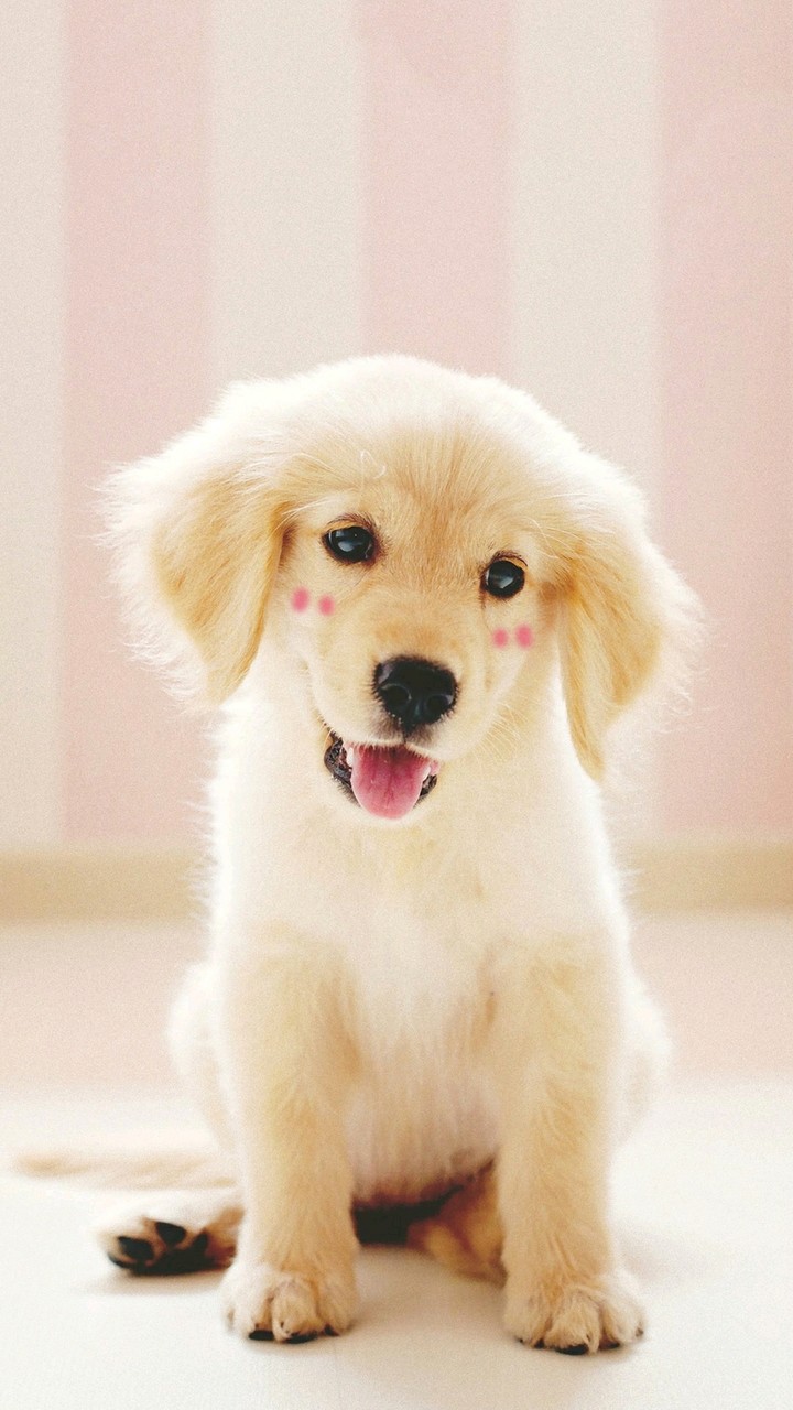 Complete cuteness...