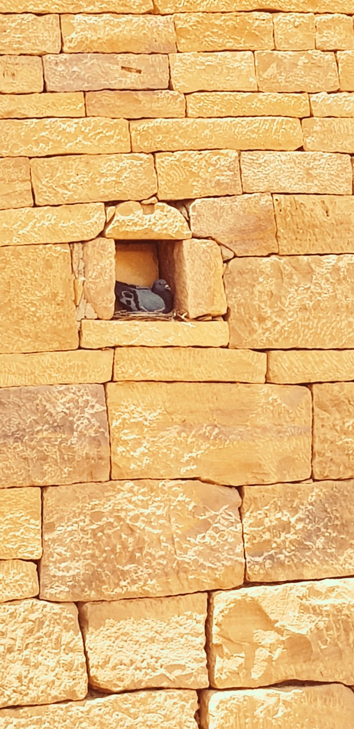 Jaisalmer wall