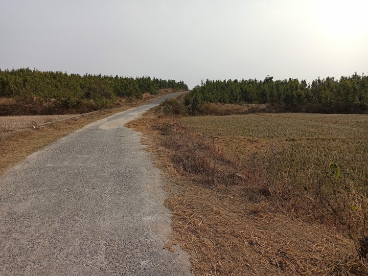A road