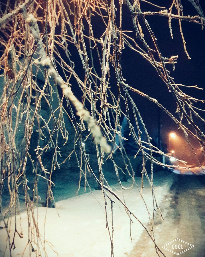 winter