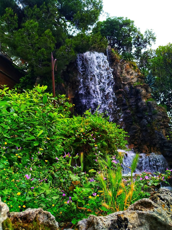 Nature
