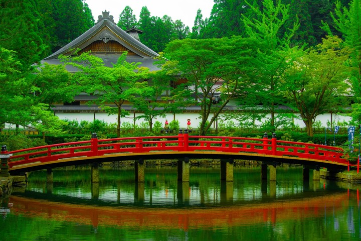 nature and love