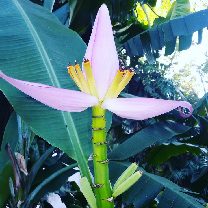 Beauty