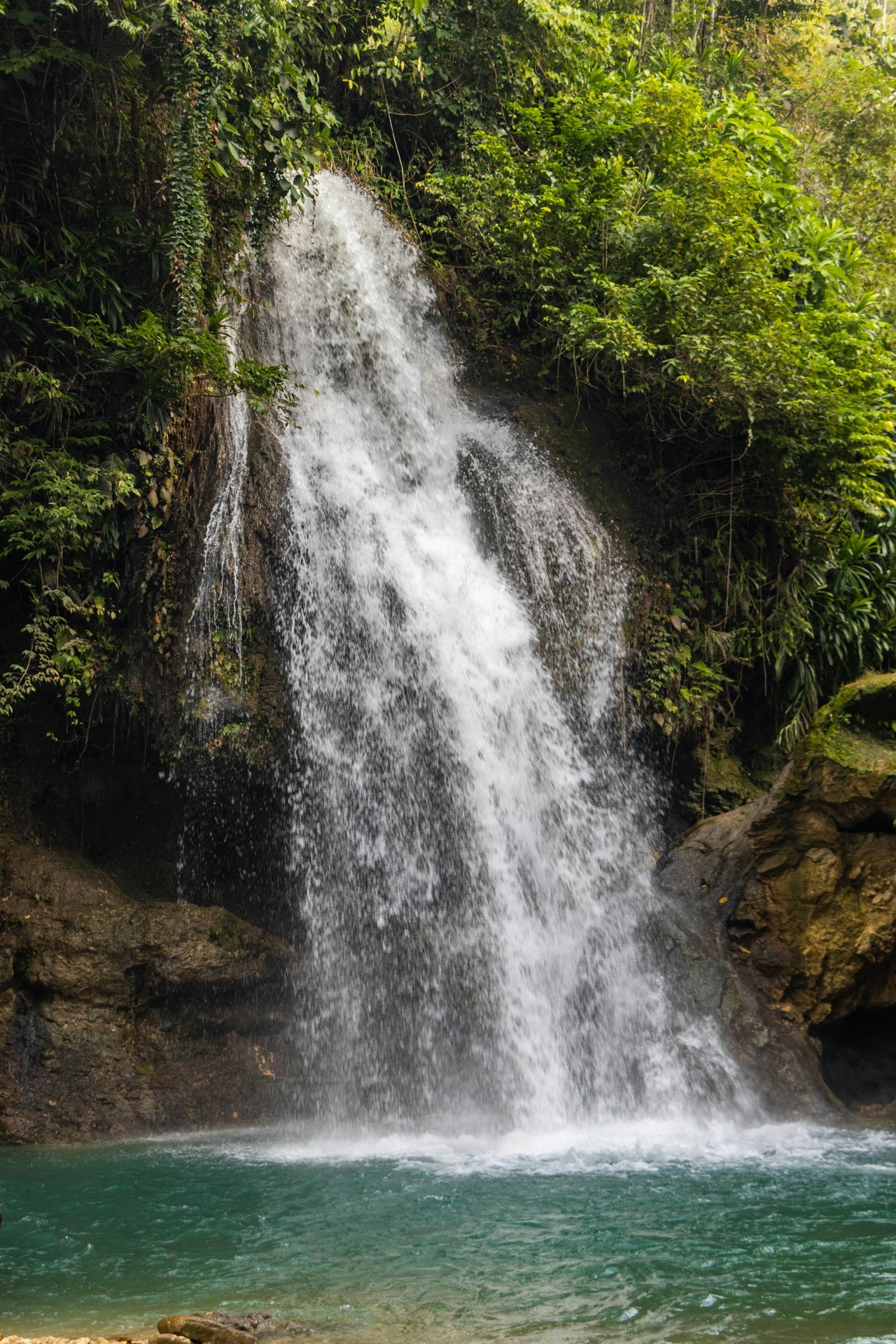 шпалери vegetation, waterfall