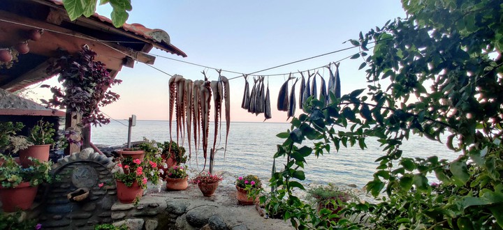 sea tavern