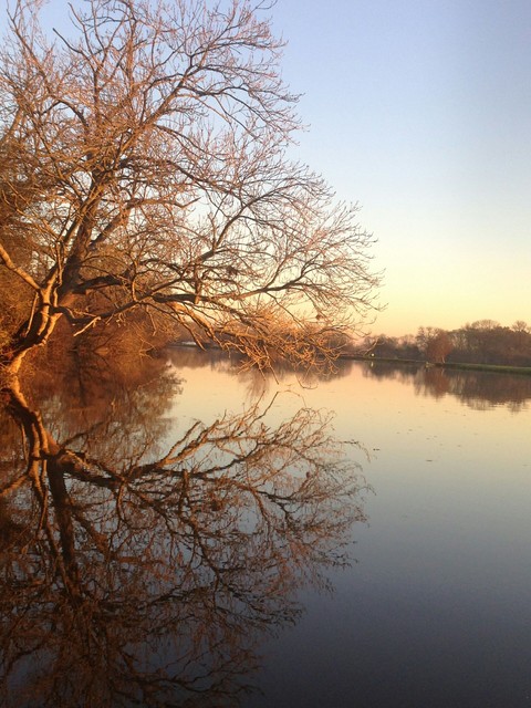 Thames river