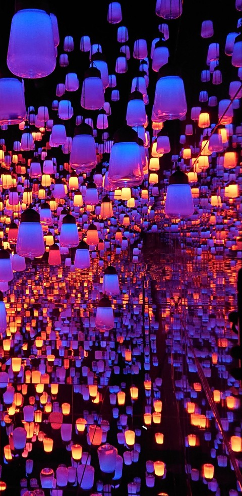 forest of lamps