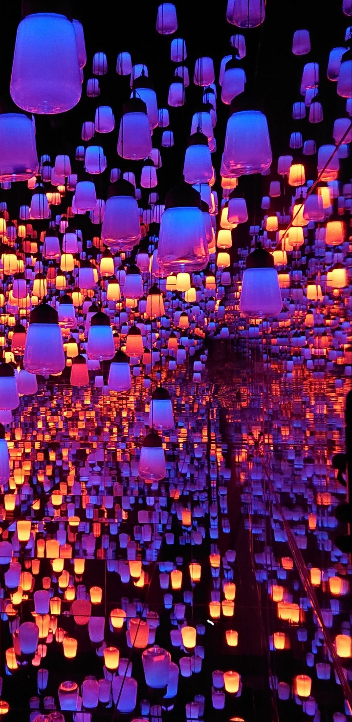 forest of lamps