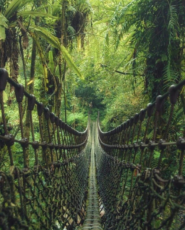 Nature