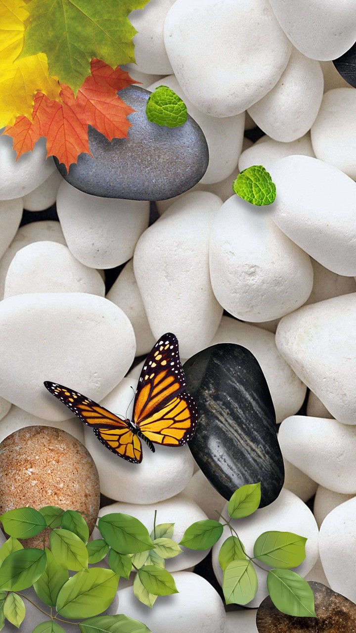 Zen stones