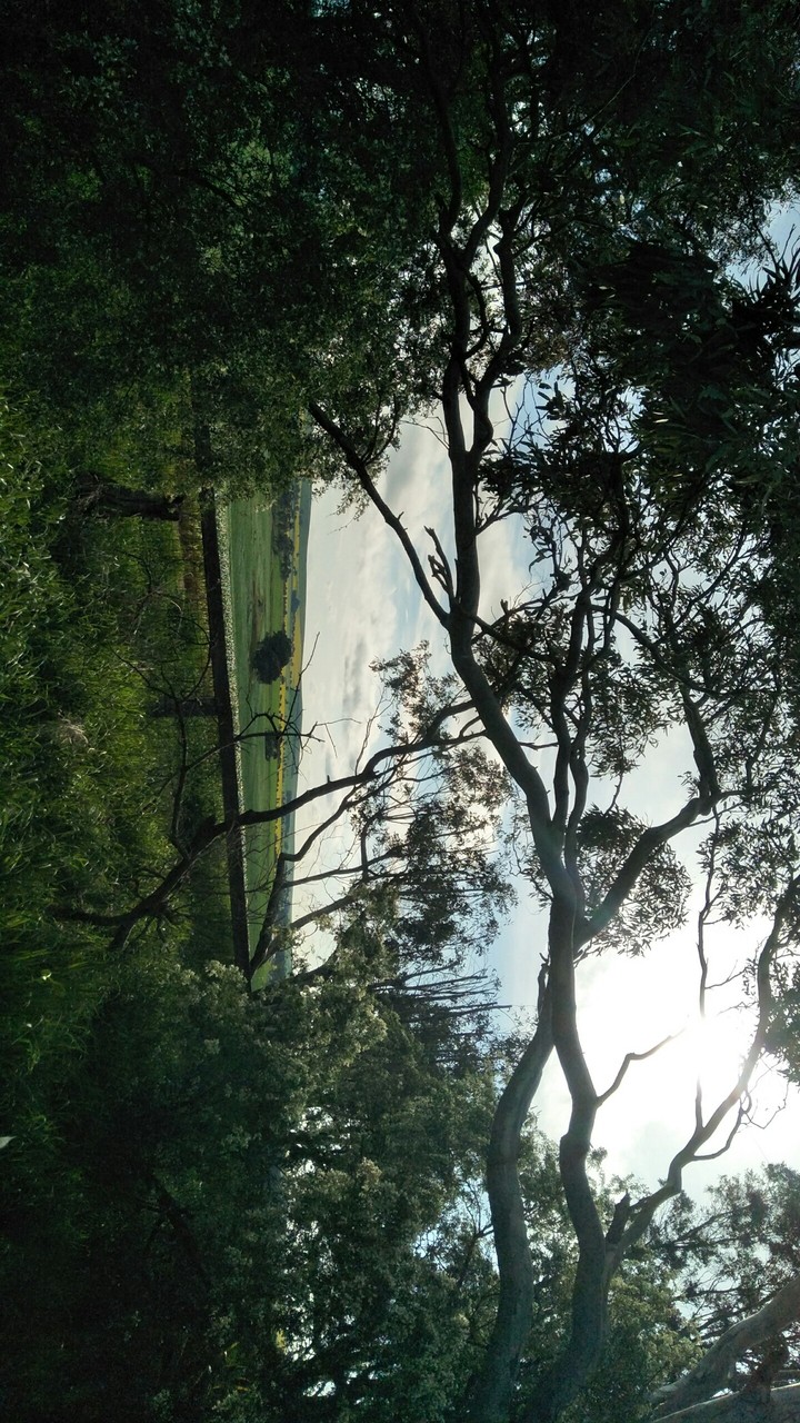 beautiful nature and environment