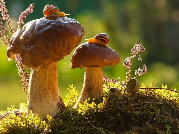 в поисках знакомой