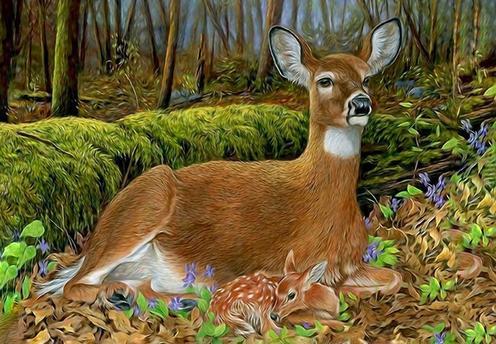 Mother and fawn