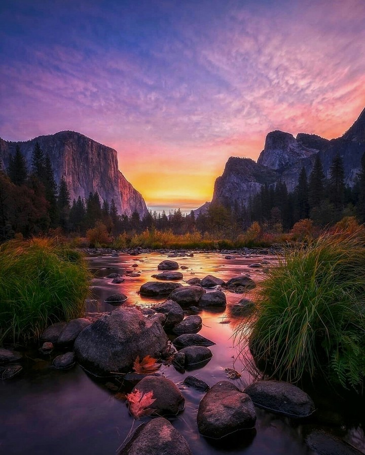 Beauty