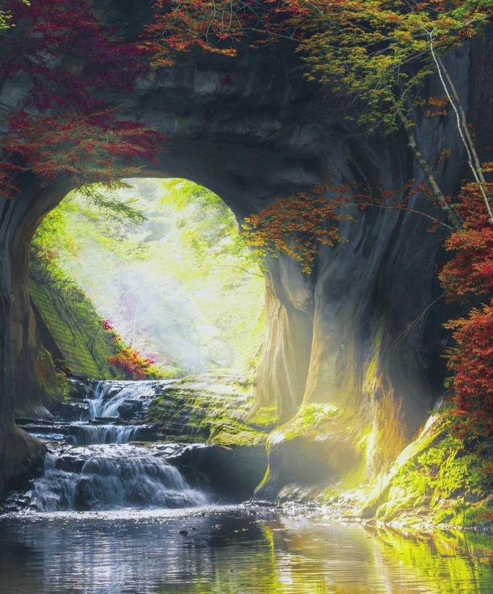 Den
