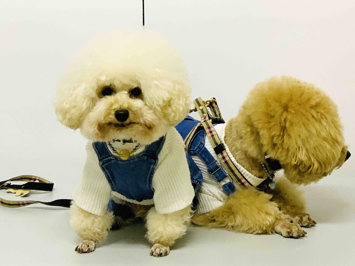 Lucky & Money