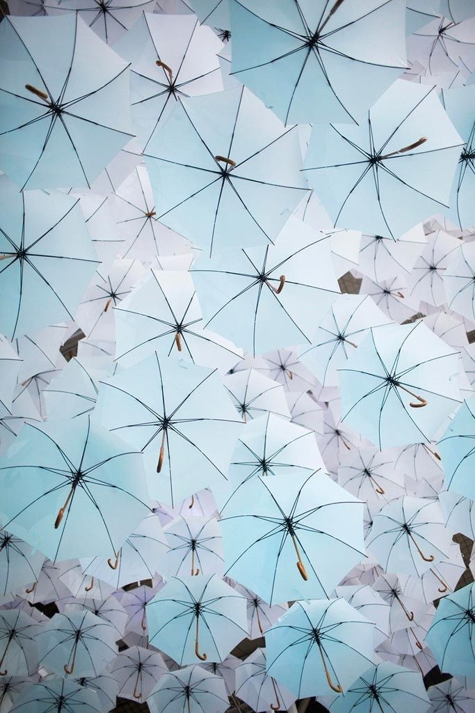 Umbrella
